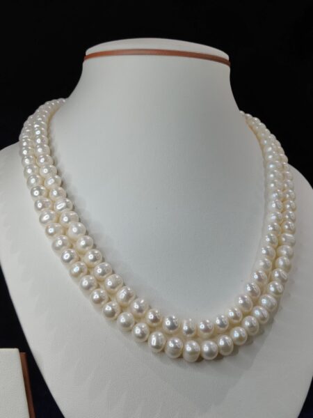 Simple Double Line Pearls
