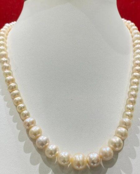 Gradation in Pinkish Pearls Necklace