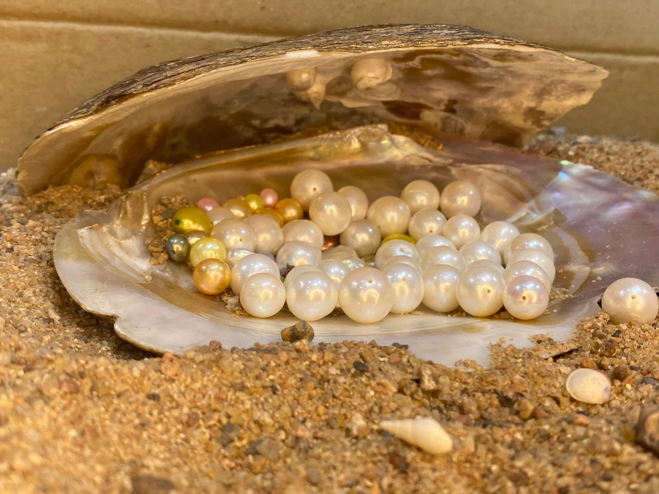 Premium freshwater pearl jewelry collection by Ocean Pearls and Jewellers.